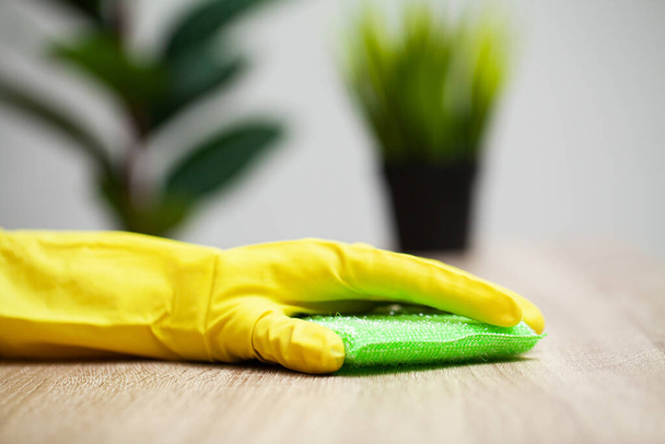 Close Up cleaning company worker hand holding sponge - Photo, Image