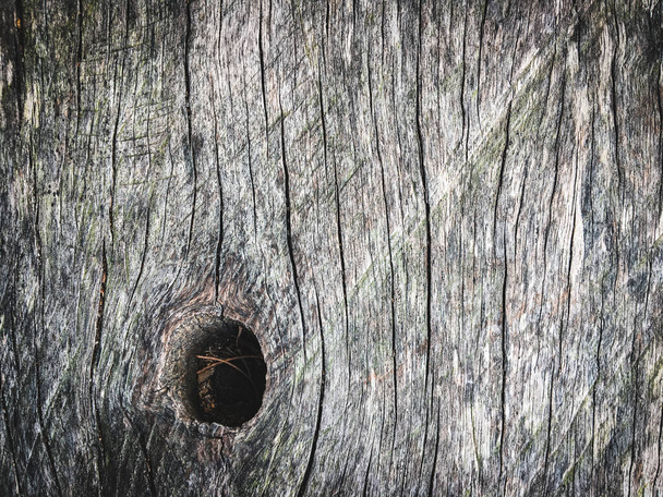 木の質感の壁のスペースの背景デザイン - 写真・画像