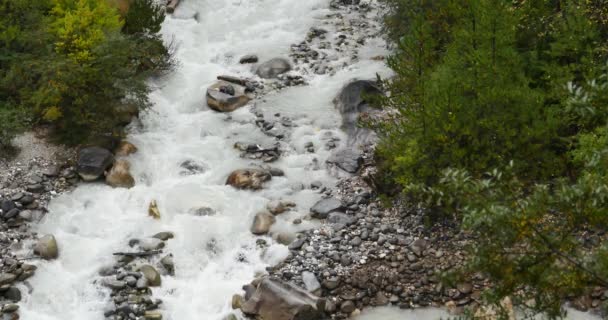 4k Wasserfall im Tal, grüne Nadelbäume, Bomi County, Tibet. - Filmmaterial, Video