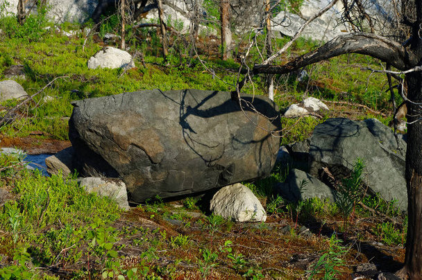 Piedra megalítica - "seid", en la montaña Vottovaara, Karelia, Rusia
 - Foto, Imagen