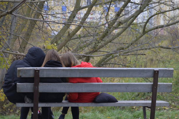 10代の若者たちは、秋の日に公園のベンチに座っています。女の子の友達と若い男は、新鮮な空気の中で、木の背景に座ってリラックスしている。後景. - 写真・画像