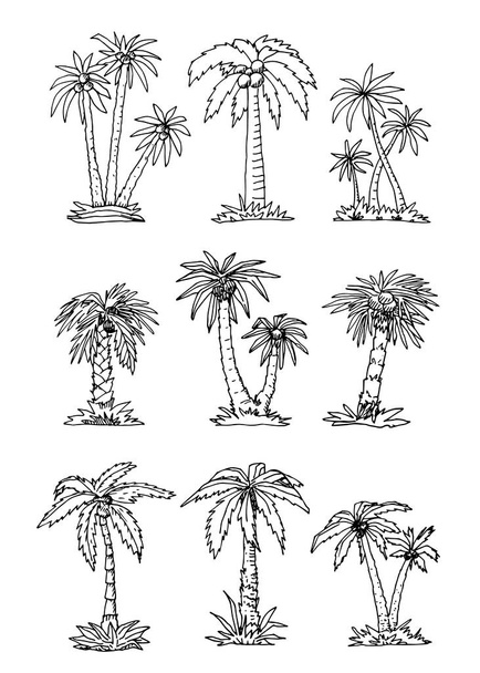 Tropik Palmiye Ağaçları seti. Vektör İllüstrasyonu. Çizgi Çizimi Grafik Biçimi. - Vektör, Görsel