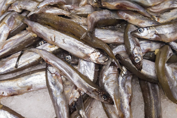 Beaucoup de petits poissons capelans se trouvent sur un comptoir dans la glace
 - Photo, image