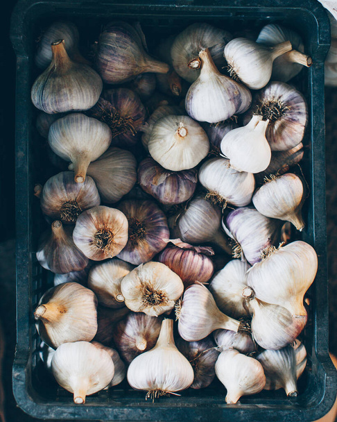 Fresh harvest of garlic in a box, top view, close-up - Foto, Imagem
