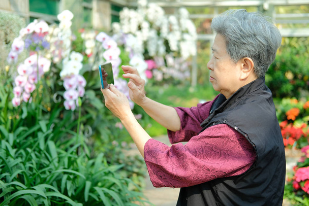 vieille femme âgée prenant des photos de fleurs dans le jardin. asiatique âgés femme détente à l'extérieur. mode de vie de loisirs senior
 - Photo, image