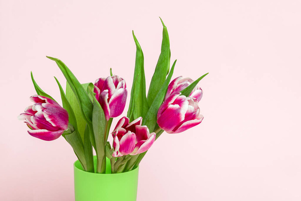 fresh garden pink tulips on a soft pink background - Фото, изображение