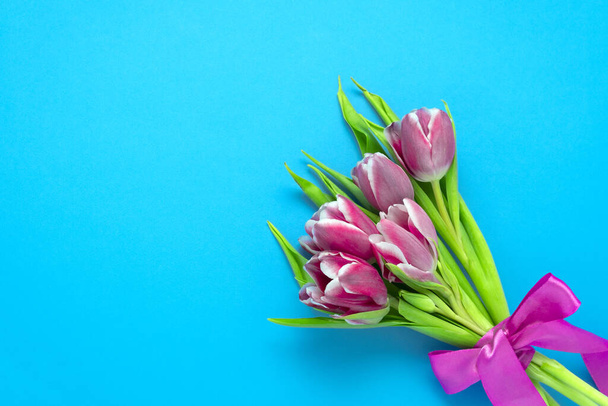 top view flat lay cute pink tulips with silk ribbon on a vibrant blue  background with copy space, spring holidays card concept - Fotoğraf, Görsel