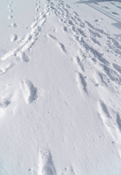 Empreintes de pas dans la neige (série
) - Photo, image