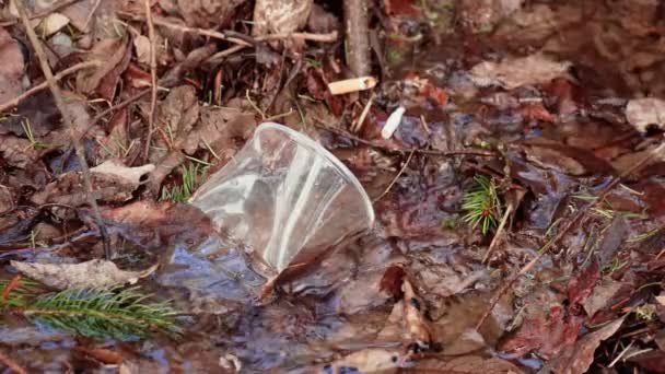 Plastic garbage and cigarette butts in clean stream water. Environmental damage, plastic recycling concept. Polluted brook and environmental contamination. People recklessness. Man-made pollutants - Footage, Video