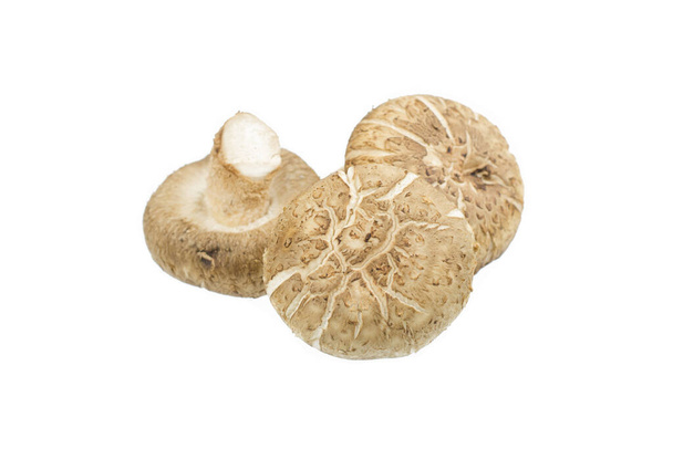 Shiitake mushroom isolated on the White background - Photo, image