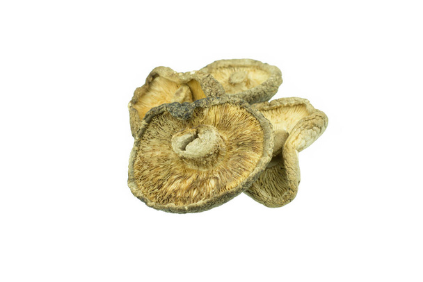 Dry Mushrooms isolated on white background - Photo, image