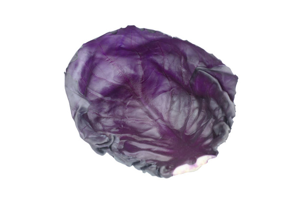 лист Фіолетова капуста ізольовано на білому фоні
 - Фото, зображення