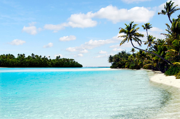 krajobraz wyspy jedną nogą w Wyspy Cooka laguny aitutaki - Zdjęcie, obraz