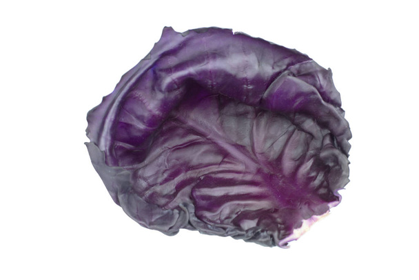 Пурпурная капуста на белом фоне
 - Фото, изображение