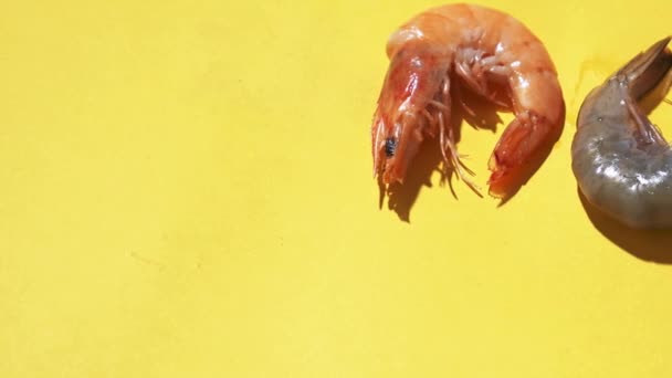 raw and boiled shrimps on yellow background - Footage, Video
