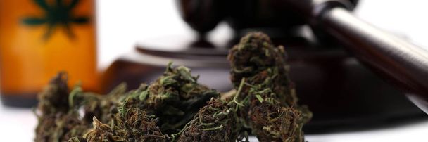 Hakim Hummer izole edilmiş marihuana otu. - Fotoğraf, Görsel
