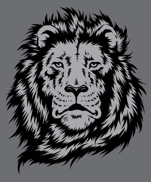 Вектор Lion Head
 - Вектор,изображение
