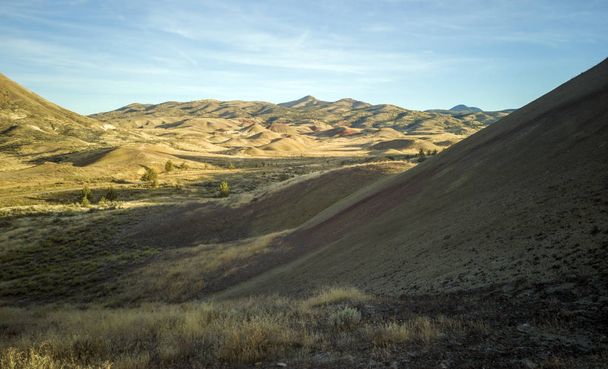 Oregon 'daki John Day fosil yataklarının güneşli bir gününde, yarı çöl bir dağ vadisinde, inanılmaz altın ve kırmızı kil fosil yatakları. - Fotoğraf, Görsel