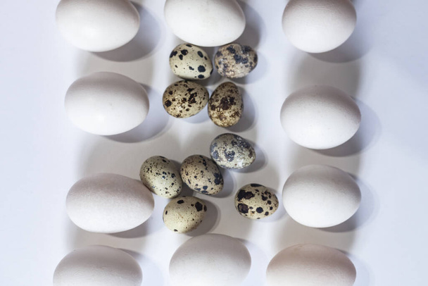 Chicken and quail eggs on white - Zdjęcie, obraz