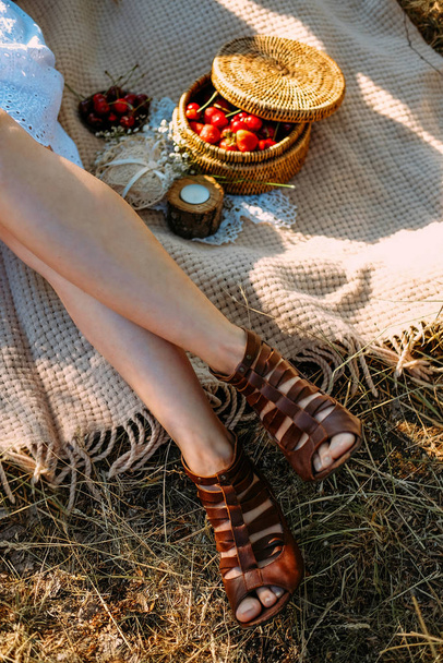 Romantic getaway picnic for two young lovers. Woman sitting on the blanket. - Photo, Image