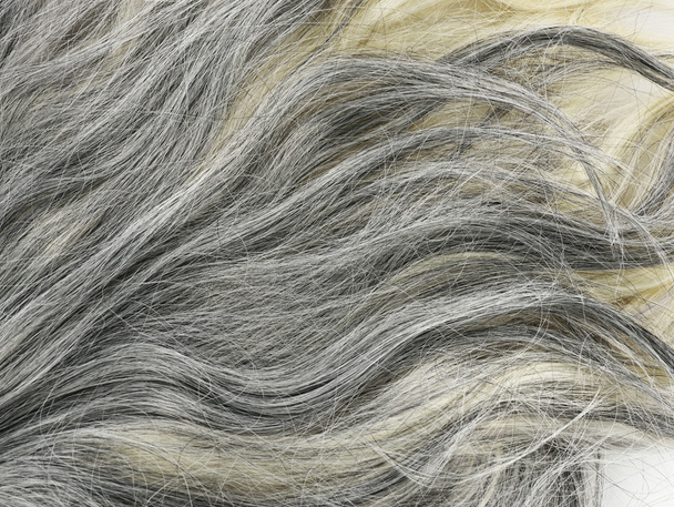 Sfondo capelli grigi
 - Foto, immagini