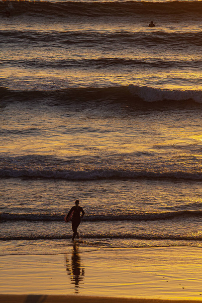 San Diego 'da gün batımında sörfçü silueti - Fotoğraf, Görsel