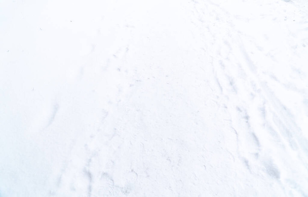 Footprints in the Snow (series) - Foto, afbeelding