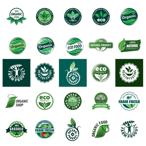 Conjunto de insignias y etiquetas de alimentos frescos ecológicos y agrícolas
 - Vector, imagen