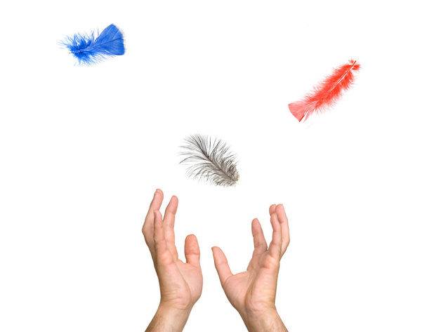 κοντινό πλάνο πολύχρωμα φτερά, που υπάγονται στα χέρια - Φωτογραφία, εικόνα