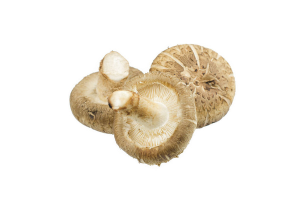 Shiitake mushroom isolated on the White background - Photo, image