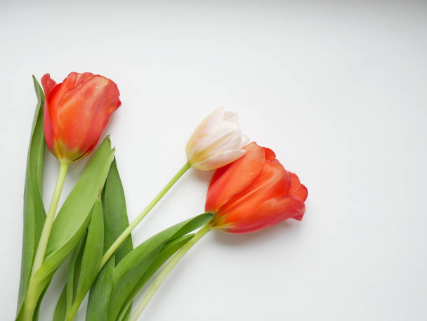 Bouquet of tulips with isolated on white background. Top view. Copy space - Photo, Image