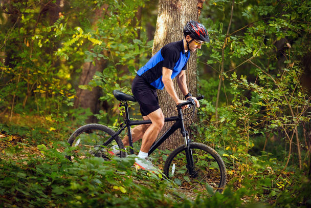 Pyöräilijä ratsastaa pyörä vihreässä metsässä
 - Valokuva, kuva
