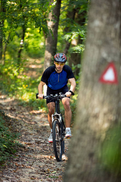 Горный велосипед по тропе в лесу
  - Фото, изображение