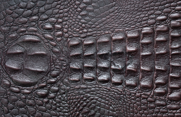 Couro de crocodilo marrom escuro
 - Foto, Imagem