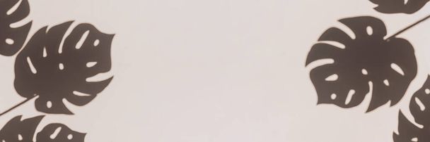 Прапор з сірими ботанічними тінями листя тропічної долоні на бежевому тлі стін. Абстрактна природна рамка або рамка з пробілом для тексту
. - Фото, зображення
