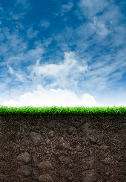 Soil with Grass in Blue Sky - Photo, Image