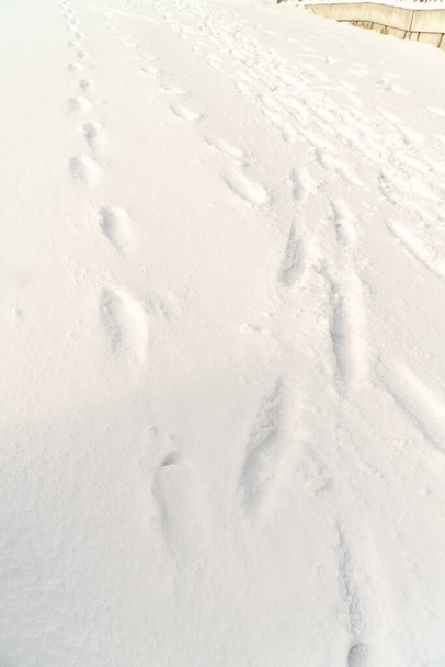 Empreintes de pas dans la neige (série
) - Photo, image