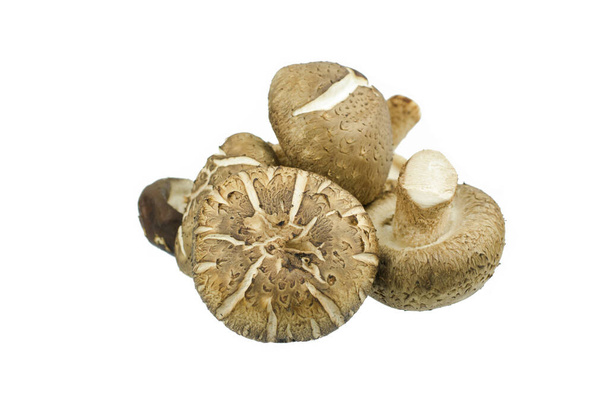 Shiitake mushroom isolated on the White background - Fotografie, Obrázek