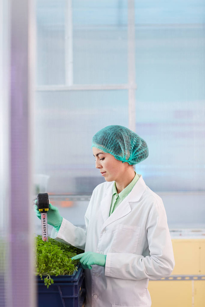 Mujer trabajando con plantas jóvenes
 - Foto, imagen