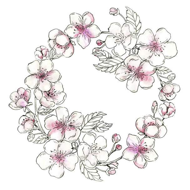 Watercolor cherry blossom wreath. Hand drawn blossoming tree. Floral frame. Blooming pink sakura flower branches. Botanical illustration of Japanese cherry tree flowers isolated on white background.  - Фото, зображення