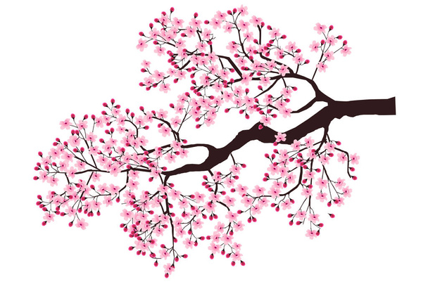Cherry blossom Spring flower icon - Vector, Image