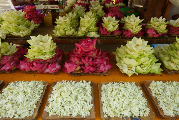 Pétales de fleurs vibrantes dans le jardin Sri Lanka
 - Photo, image