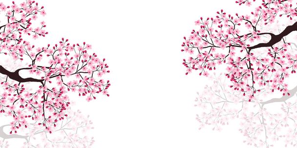 Ανθισμένα άνθη κερασιάς φόντο άνοιξη - Διάνυσμα, εικόνα