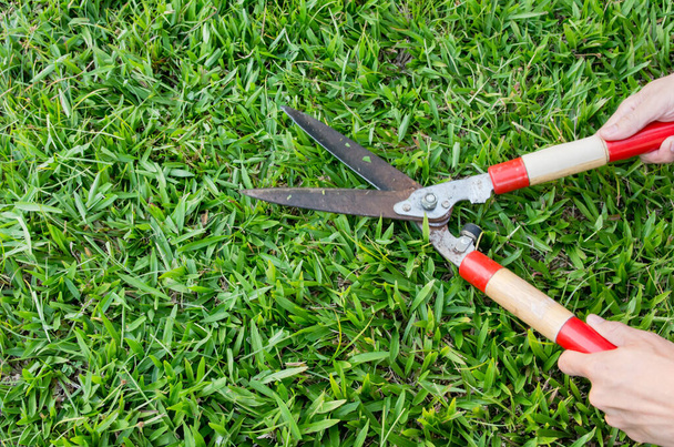 Muž Ruka drží nůžky a sekání zelené trávy v zahradě - Fotografie, Obrázek