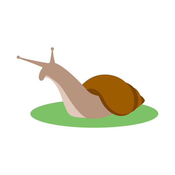 snail, vector illustration, flat style profile side - Vector, Image