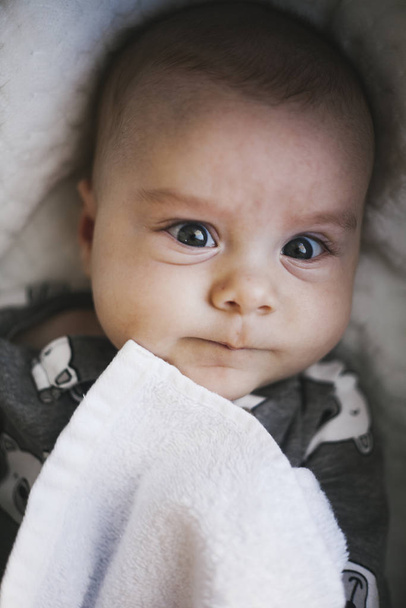 Close up portrait, newborn baby boy  - Фото, зображення