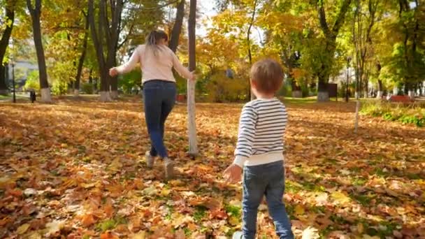 Vidéo au ralenti d'un petit garçon souriant jouant dans un parc d'automne et courant après sa mère
 - Séquence, vidéo