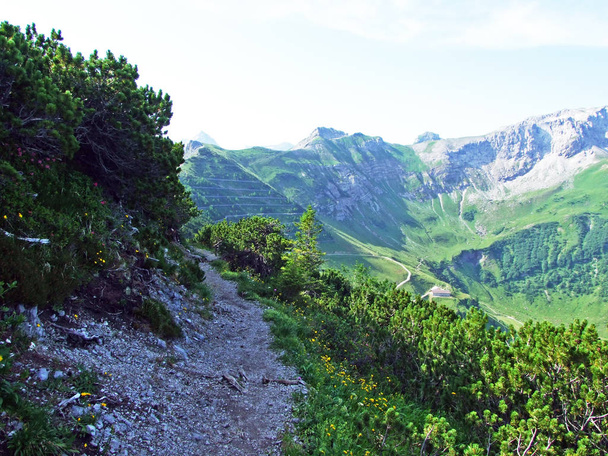 Senderos para caminar y hacer senderismo sobre el valle alpino de Malbuntal y en la cordillera de los Alpes de Liechtenstein - Malbun, Liechtenstein
 - Foto, Imagen