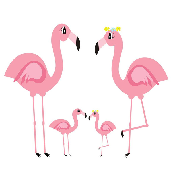 lindo flamenco rosa ilustración vector decoración
 - Foto, Imagen