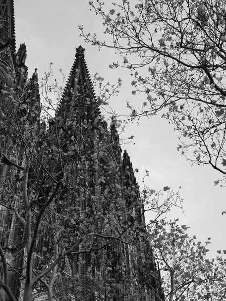 Koelner Dom Hohe Domkirche Sankt Petrus (что означает Собор Святого Петра) готическая церковь в Кёльне, Германия в черно-белом цвете
 - Фото, изображение